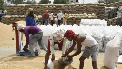 le cas d'interdiction d'exportation de blé en inde